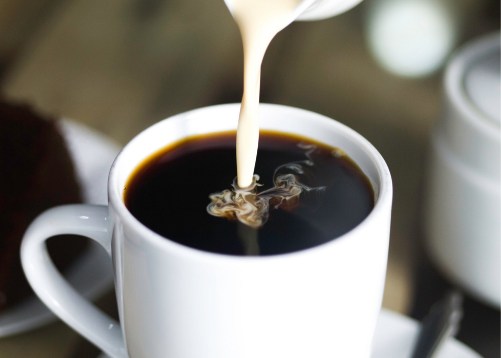 smeg coffee maker review