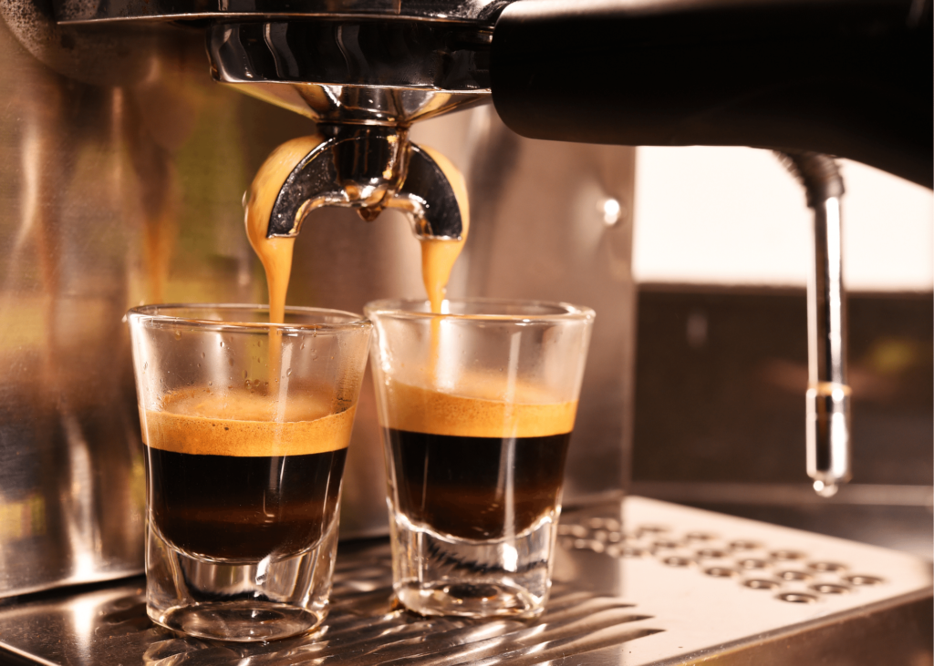 gaggia anima