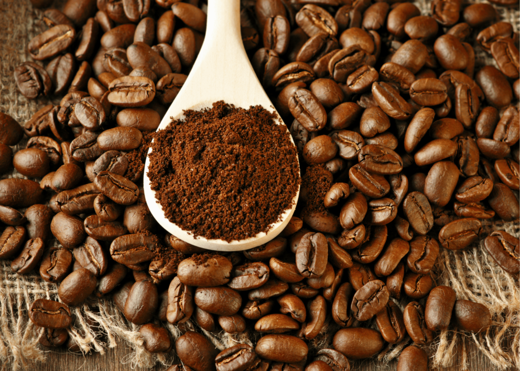 Krups Coffee Grinder